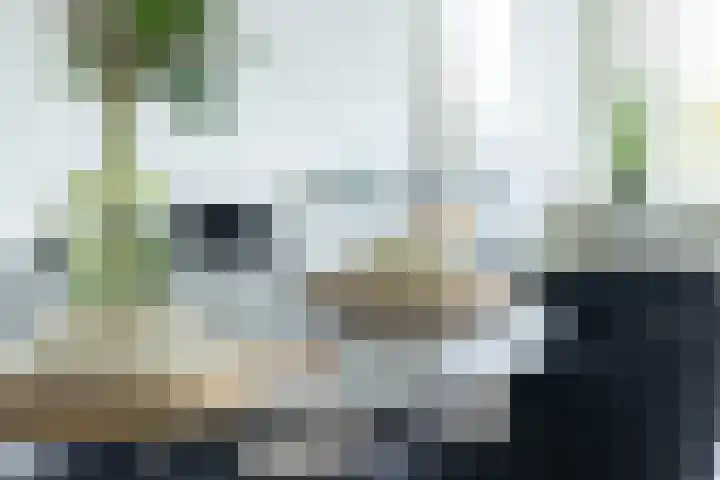 Socrateslaan 55 's-Hertogenbosch thumbnail 31
