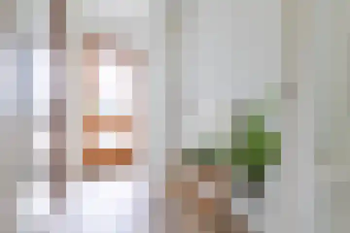 Socrateslaan 55 's-Hertogenbosch thumbnail 4