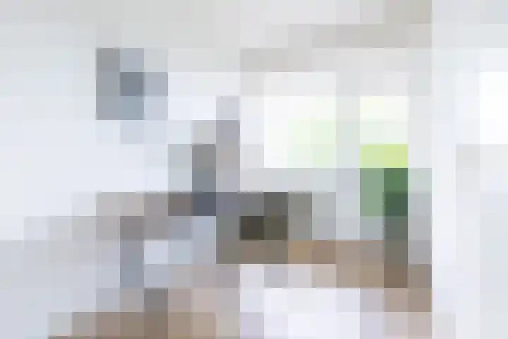 Socrateslaan 55 's-Hertogenbosch thumbnail 8