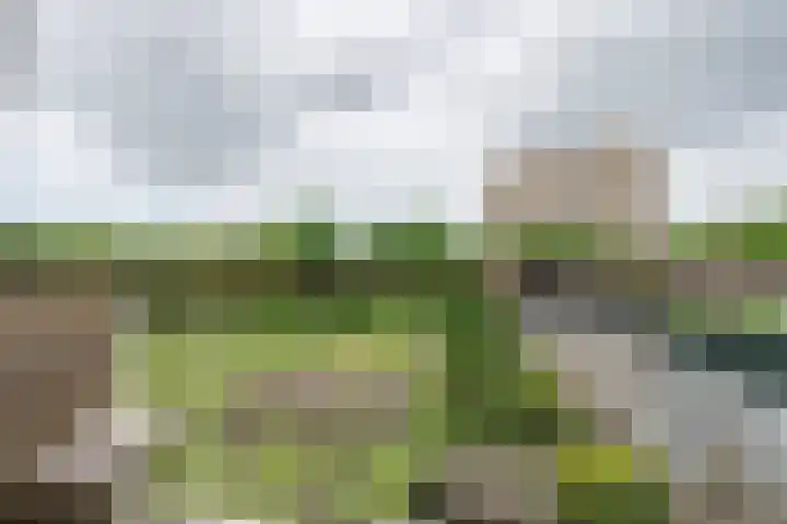 Socrateslaan 57 's-Hertogenbosch thumbnail 12