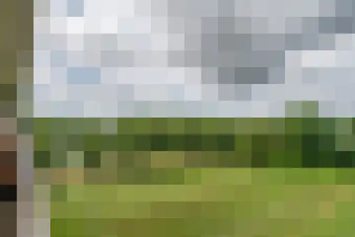 Socrateslaan 57 's-Hertogenbosch thumbnail 13