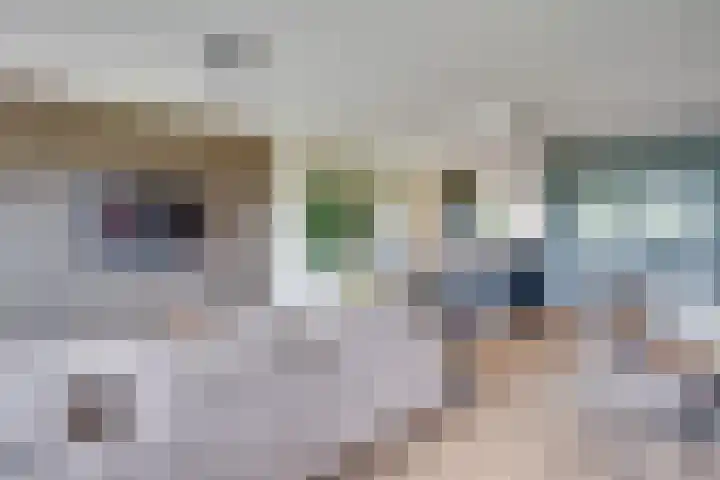 Socrateslaan 57 's-Hertogenbosch thumbnail 14