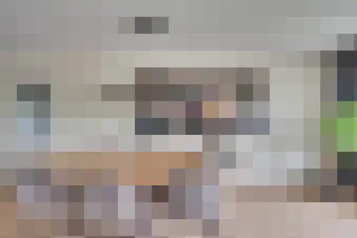 Socrateslaan 57 's-Hertogenbosch thumbnail 20