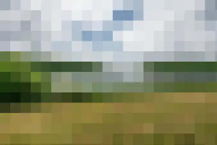 Socrateslaan 57 's-Hertogenbosch thumbnail 29