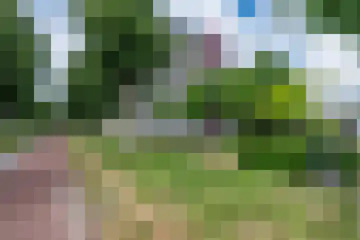 Socrateslaan 57 's-Hertogenbosch thumbnail 30