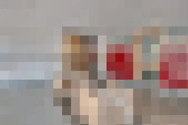 Socrateslaan 57 's-Hertogenbosch thumbnail 6