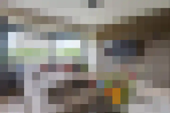 Socrateslaan 57 's-Hertogenbosch thumbnail 9