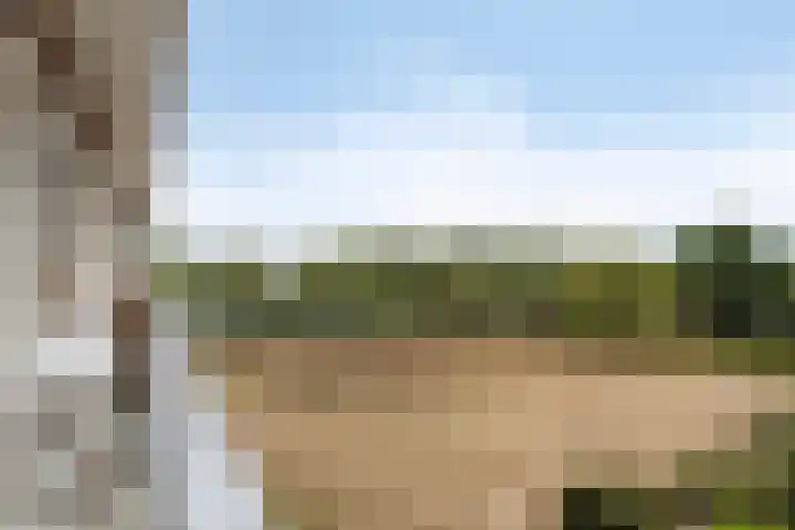 Socrateslaan 59 's-Hertogenbosch thumbnail 10
