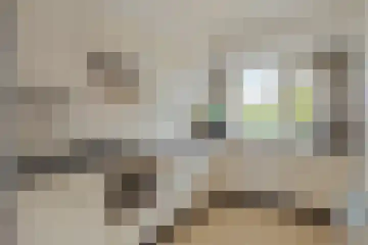Socrateslaan 59 's-Hertogenbosch thumbnail 12