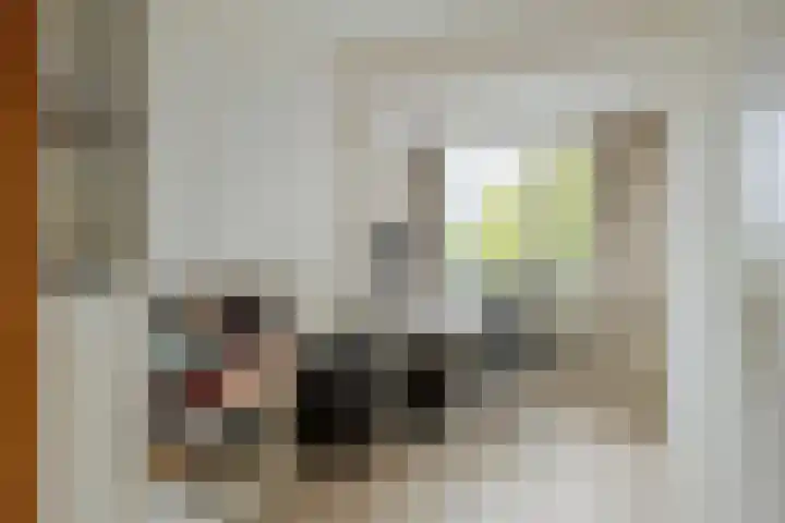 Socrateslaan 59 's-Hertogenbosch thumbnail 14