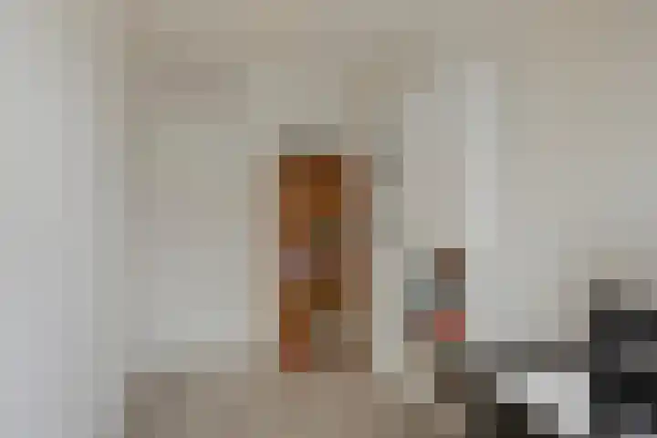 Socrateslaan 59 's-Hertogenbosch thumbnail 15