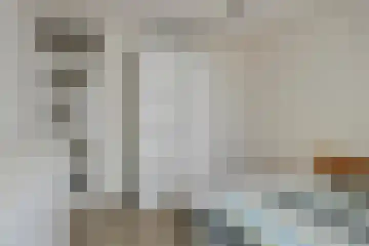 Socrateslaan 59 's-Hertogenbosch thumbnail 19