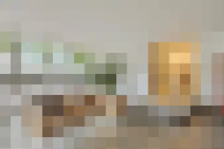 Socrateslaan 59 's-Hertogenbosch thumbnail 24