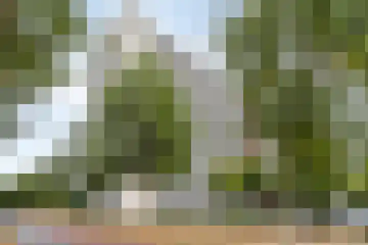 Socrateslaan 59 's-Hertogenbosch thumbnail 26