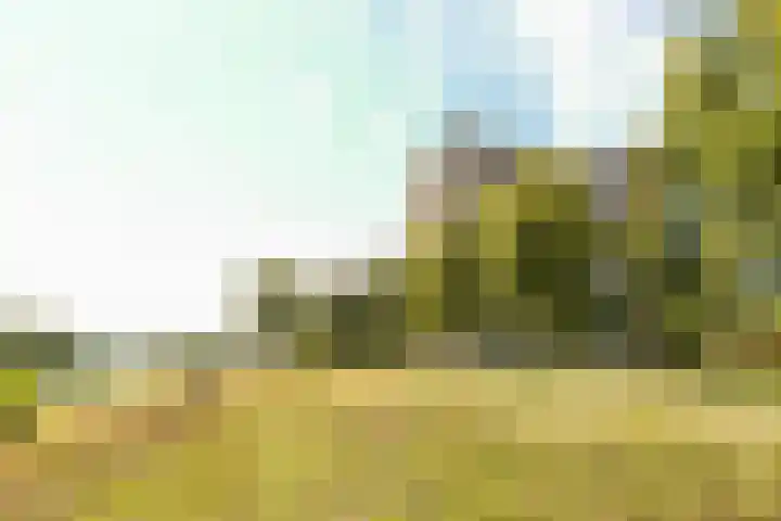 Socrateslaan 59 's-Hertogenbosch thumbnail 29