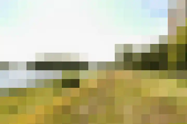 Socrateslaan 59 's-Hertogenbosch thumbnail 30