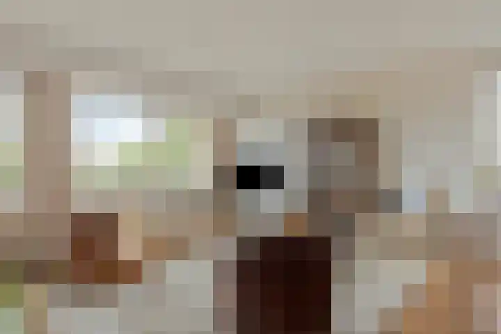 Socrateslaan 59 's-Hertogenbosch thumbnail 5