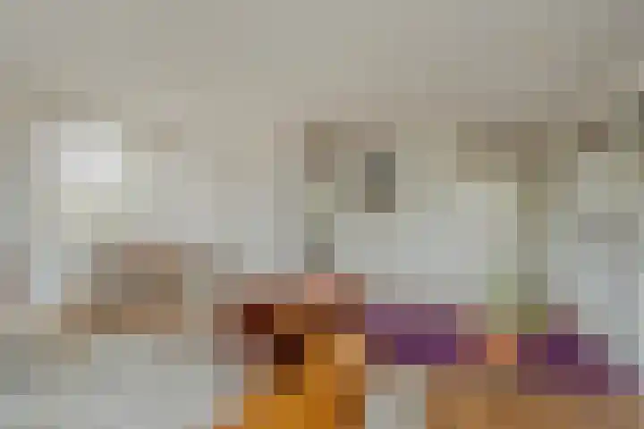 Socrateslaan 59 's-Hertogenbosch thumbnail 7