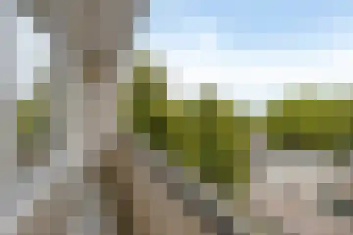 Socrateslaan 59 's-Hertogenbosch thumbnail 8