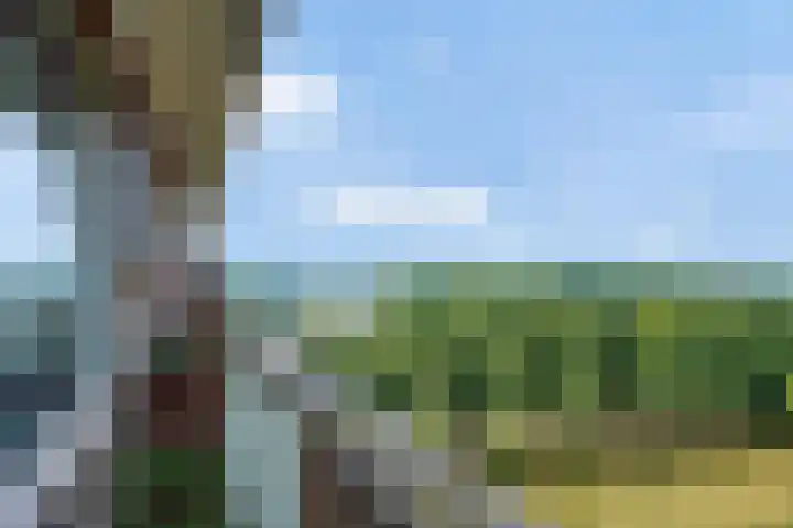 Socrateslaan 65 's-Hertogenbosch thumbnail 13