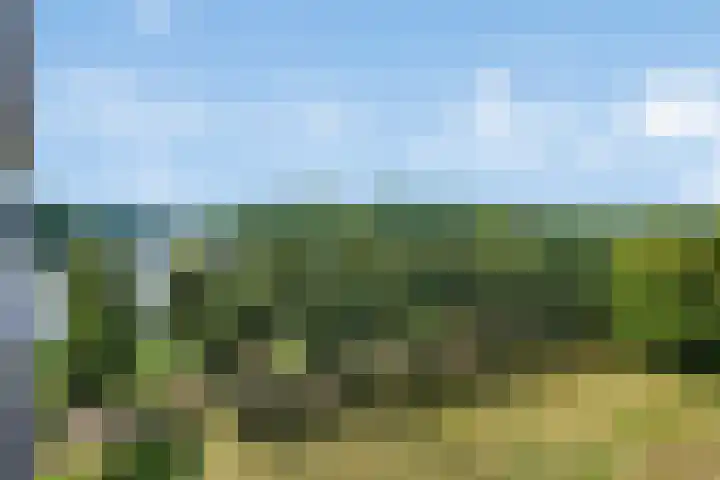 Socrateslaan 65 's-Hertogenbosch thumbnail 14