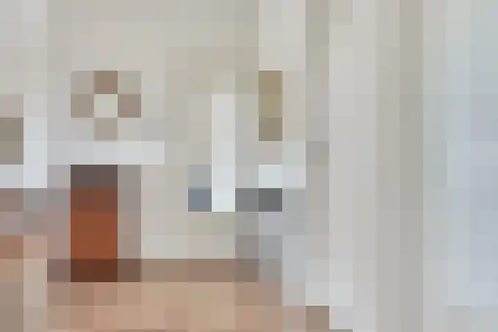 Socrateslaan 65 's-Hertogenbosch thumbnail 15