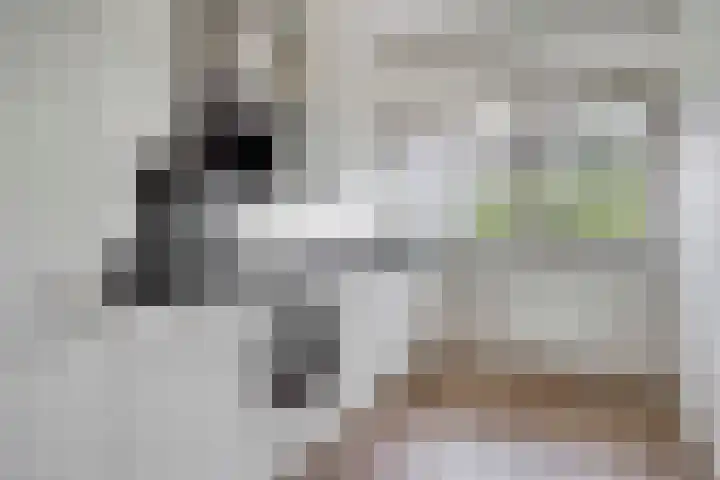 Socrateslaan 65 's-Hertogenbosch thumbnail 16