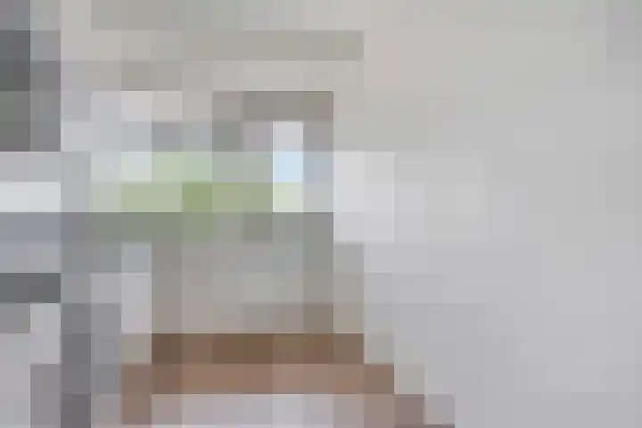 Socrateslaan 65 's-Hertogenbosch thumbnail 18