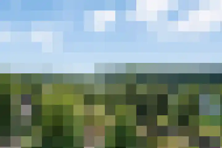 Socrateslaan 65 's-Hertogenbosch thumbnail 32