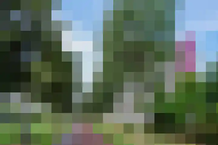 Socrateslaan 65 's-Hertogenbosch thumbnail 36