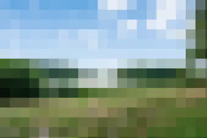 Socrateslaan 65 's-Hertogenbosch thumbnail 37