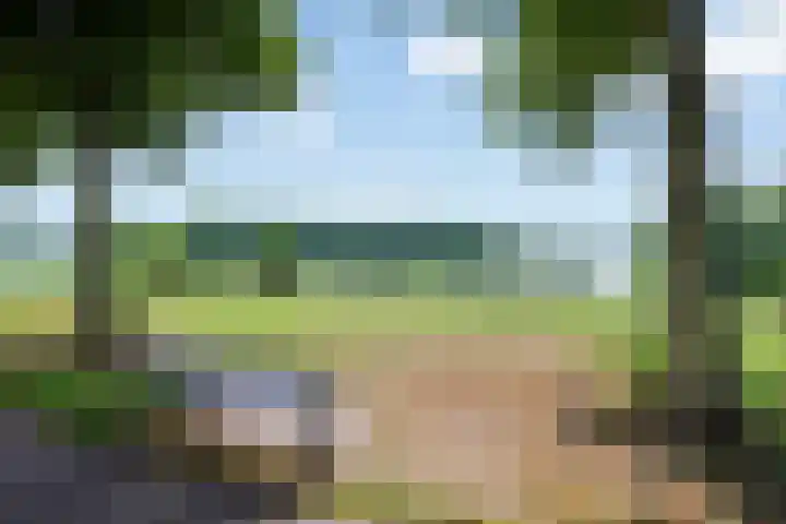 Socrateslaan 65 's-Hertogenbosch thumbnail 38