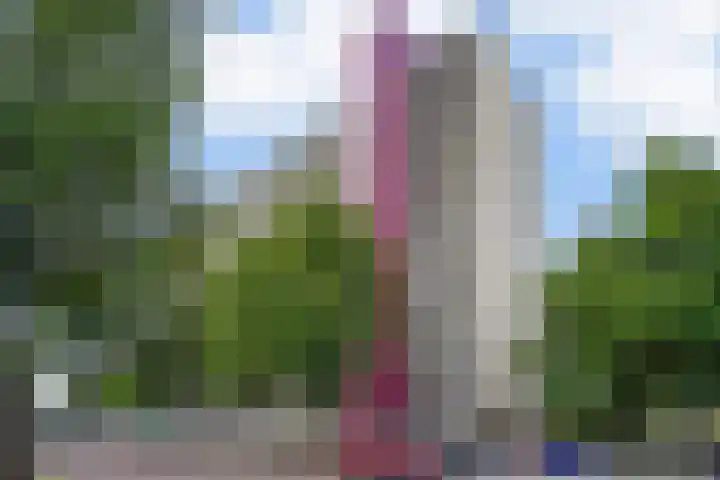 Socrateslaan 65 's-Hertogenbosch thumbnail 41