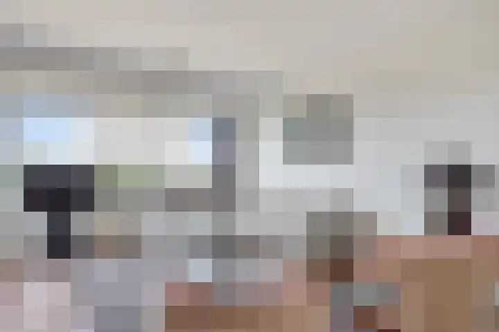 Socrateslaan 65 's-Hertogenbosch thumbnail 7