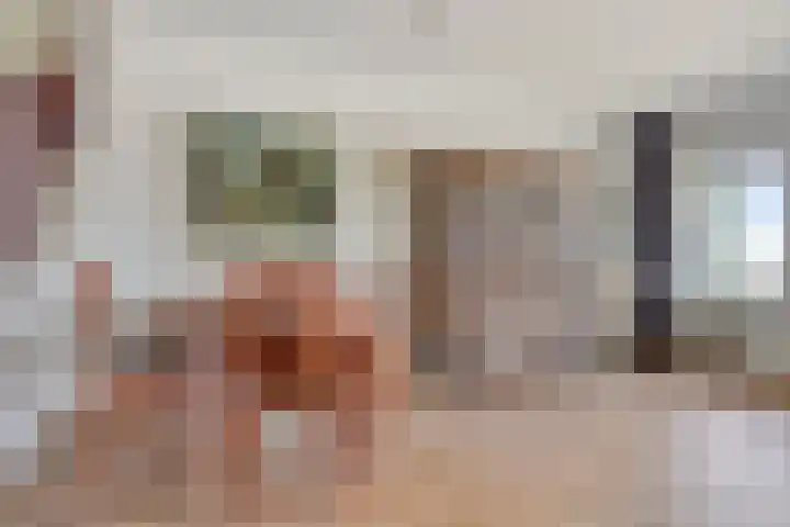 Socrateslaan 65 's-Hertogenbosch thumbnail 9