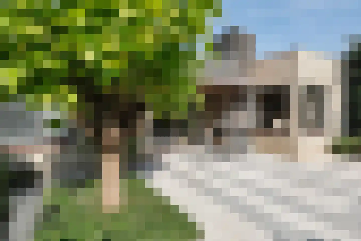 Socrateslaan 7 's-Hertogenbosch thumbnail 32