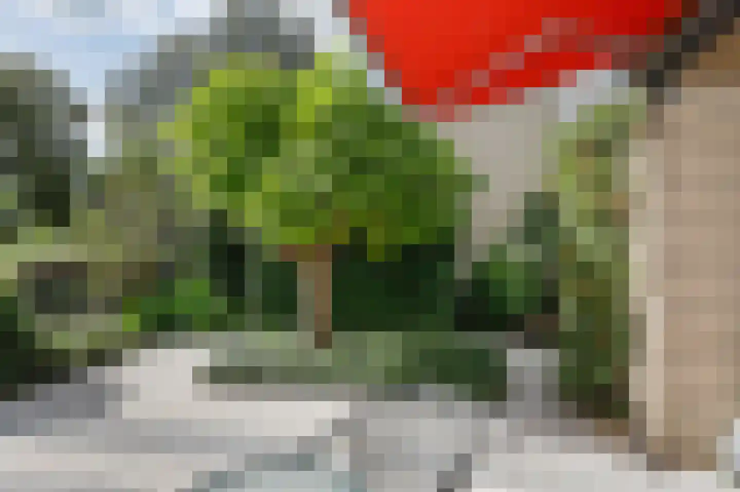Socrateslaan 7 's-Hertogenbosch thumbnail 33