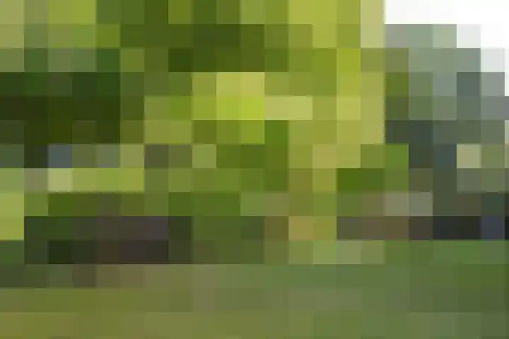 Socrateslaan 8 Zeist thumbnail 24