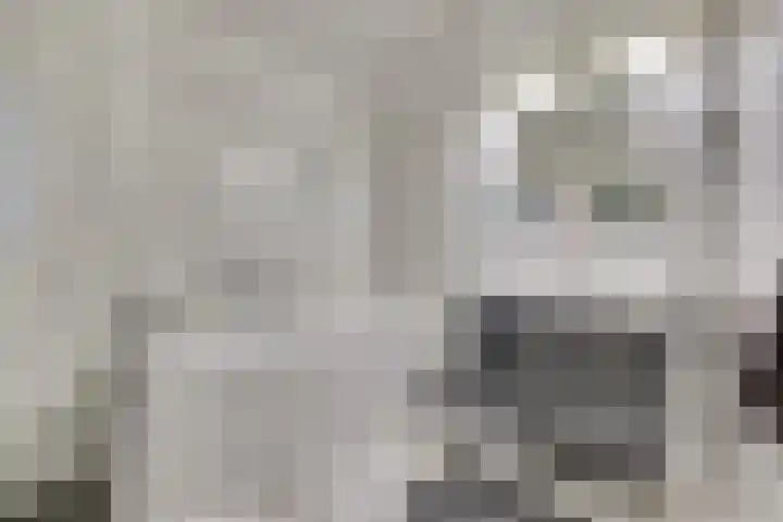 Socrateslaan 8 Zeist thumbnail 25