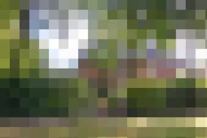 Socrateslaan 8 Zeist thumbnail 29