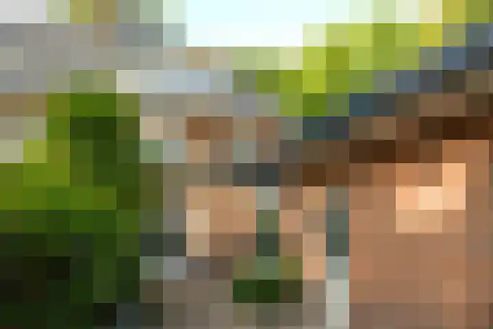 Socrateslaan 8 Zeist thumbnail 31