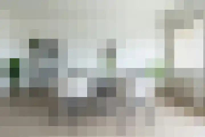 Socrateslaan 83 's-Hertogenbosch thumbnail 10
