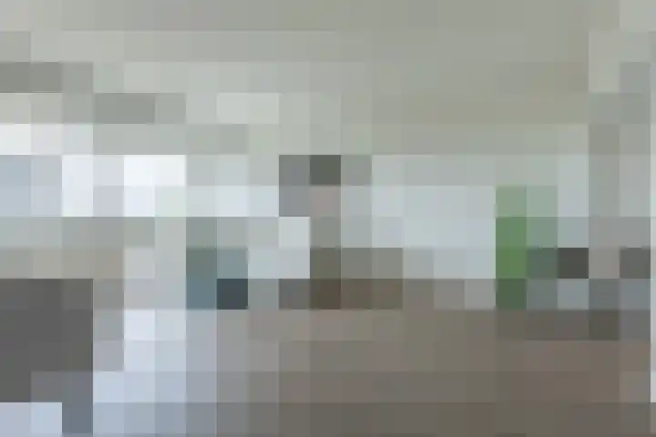 Socrateslaan 83 's-Hertogenbosch thumbnail 12