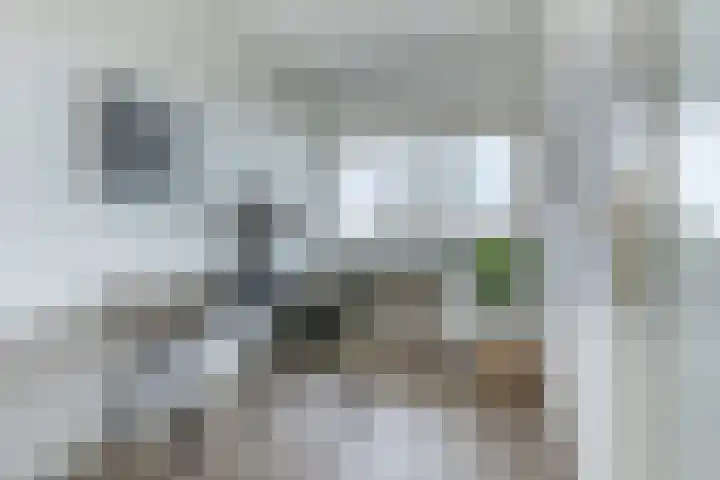 Socrateslaan 83 's-Hertogenbosch thumbnail 22