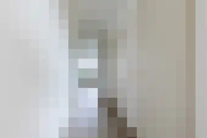 Socrateslaan 83 's-Hertogenbosch thumbnail 24