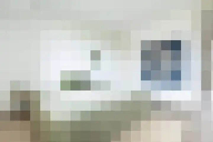 Socrateslaan 83 's-Hertogenbosch thumbnail 26