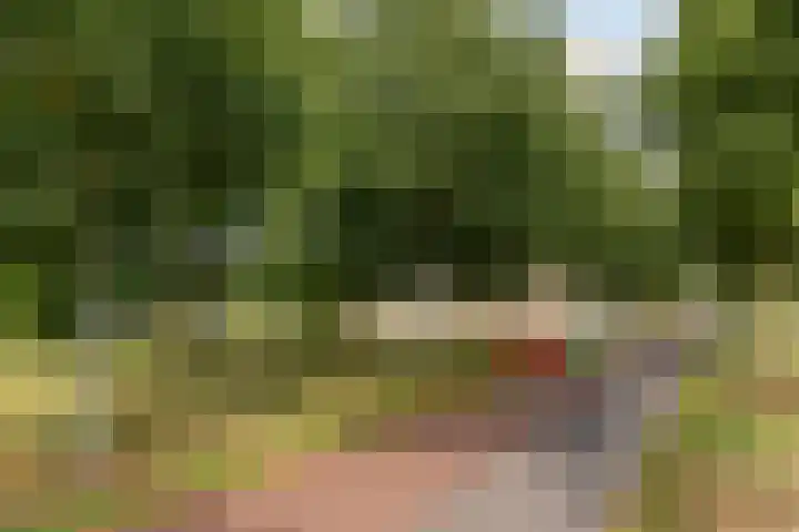 Socrateslaan 83 's-Hertogenbosch thumbnail 36