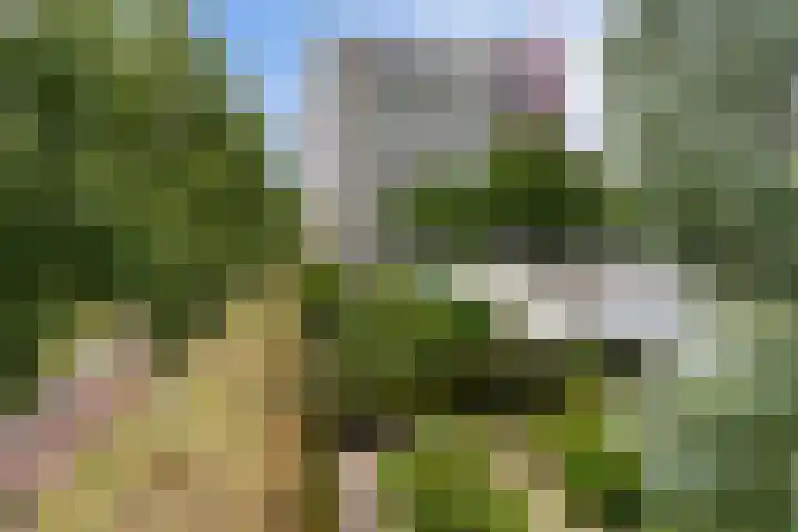 Socrateslaan 83 's-Hertogenbosch thumbnail 37