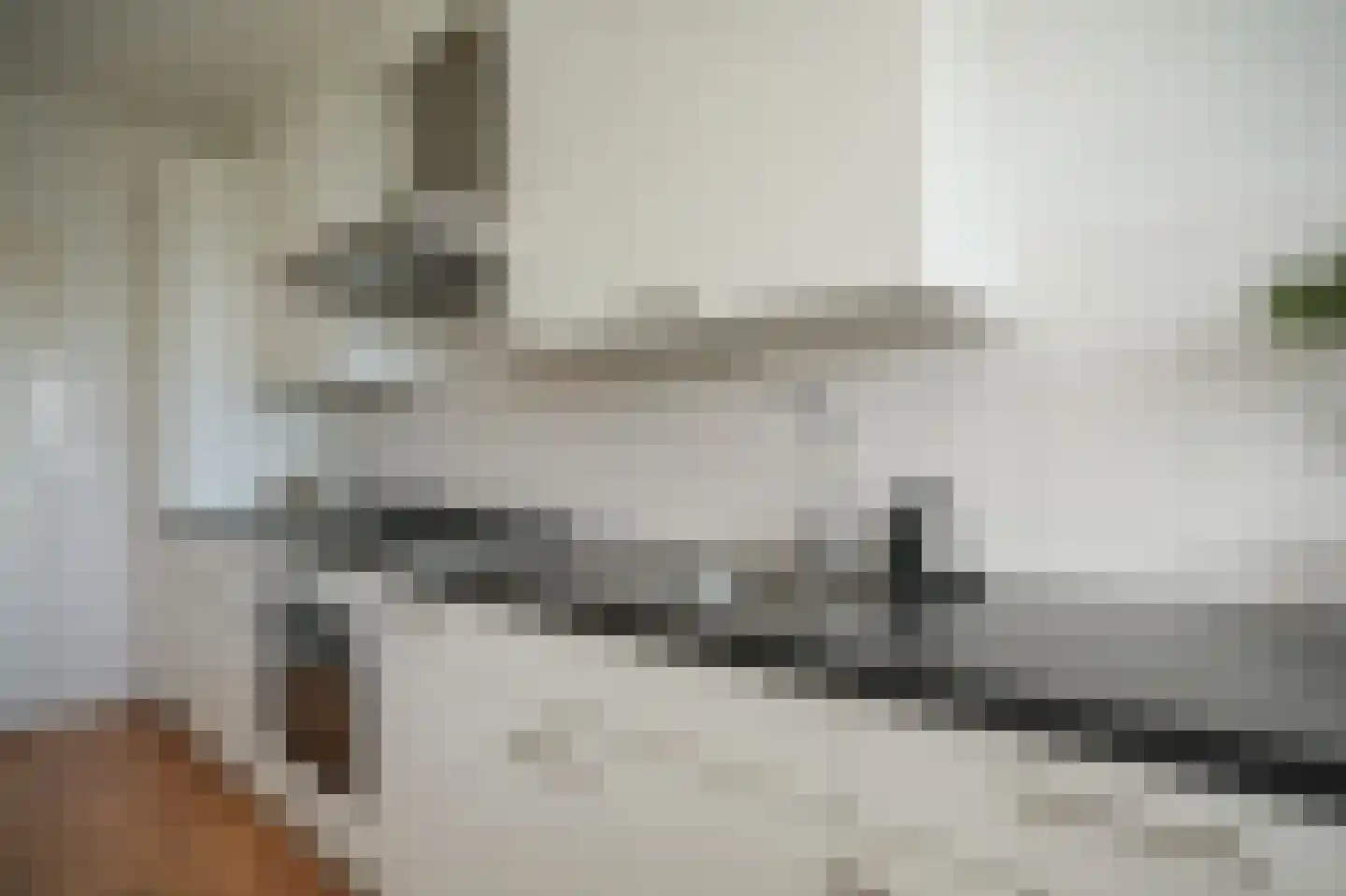 Socrateslaan 87 's-Hertogenbosch thumbnail 14