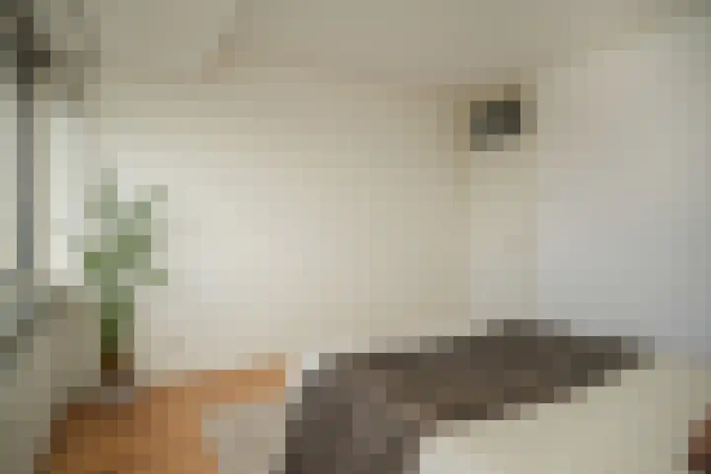 Socrateslaan 87 's-Hertogenbosch thumbnail 17